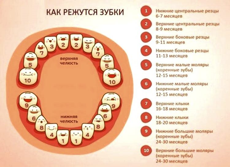 очередность прорезывания зубов у младенцев фото