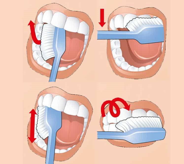 как правильно чистить зубы