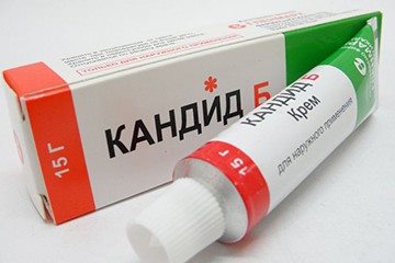 кандид